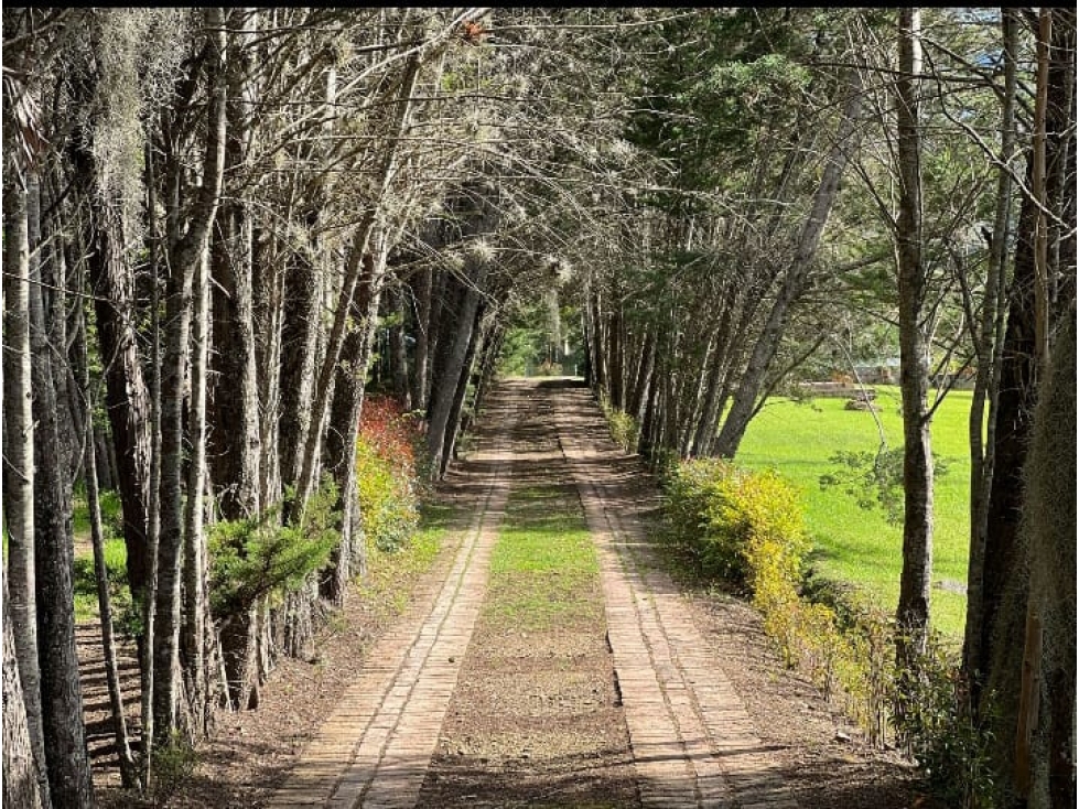 VENDO CASA CAMPESTRE VEREDA SABANA - SECTOR LA ROSITA - VILLA DE LEYVA — foto 2