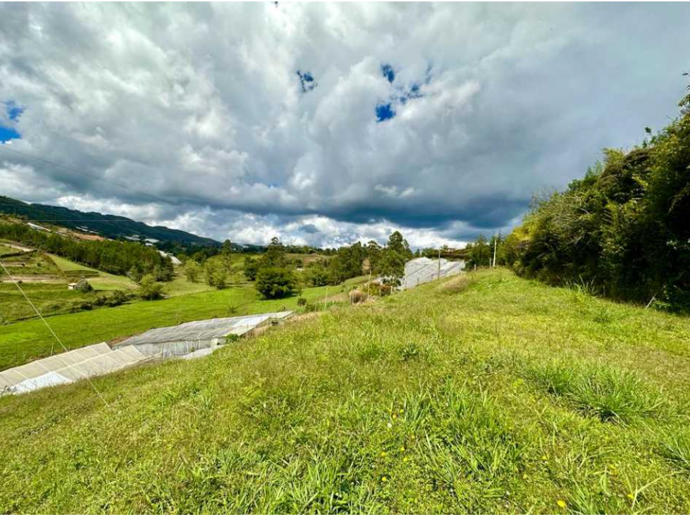Venta Finca de producción San Vicente, Antioquia — foto 6