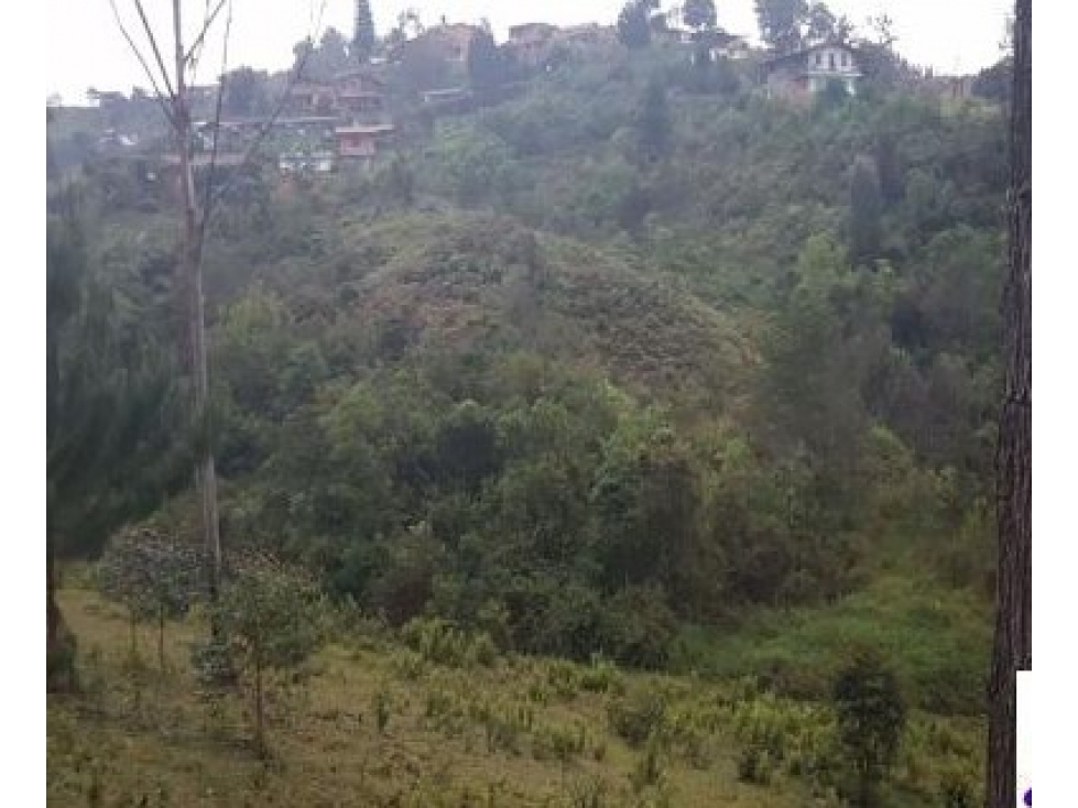 Venta lote uso industrial Guarne Antioquia vereda Bellavista — foto 3