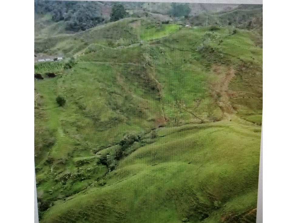 Venta Lotes en Parcelación Santo Domingo, Antioquia. - 3