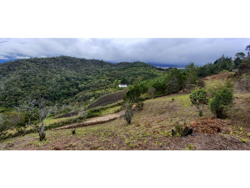 Lote en venta municipio San Vicente Ferrer Antioquia