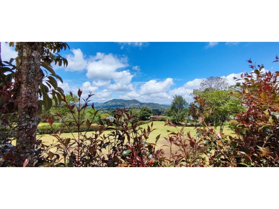 Lote en venta La Ceja Via San Antonio de Pereira — foto 5