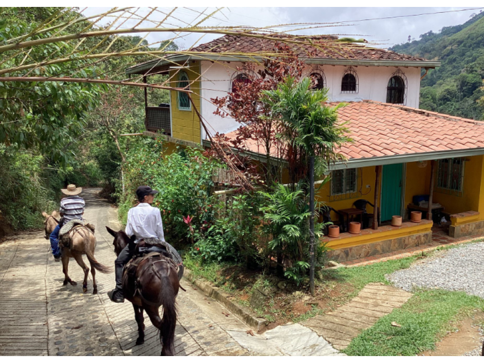 Finca en Venta Venecia Vereda La Arabia Antioquia