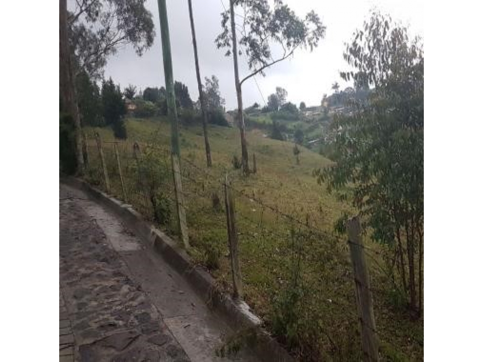 Venta lote uso industrial Guarne Antioquia vereda Bellavista — foto 4