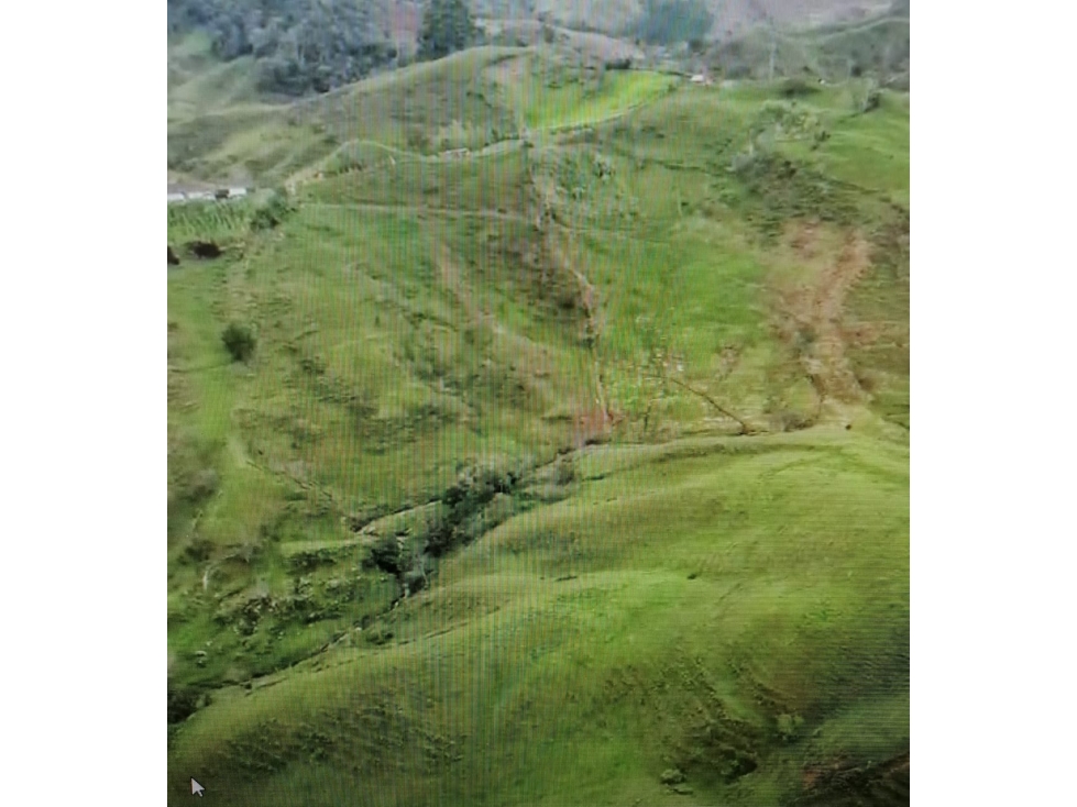 Venta Lotes en Parcelación Santo Domingo, Antioquia. - 4