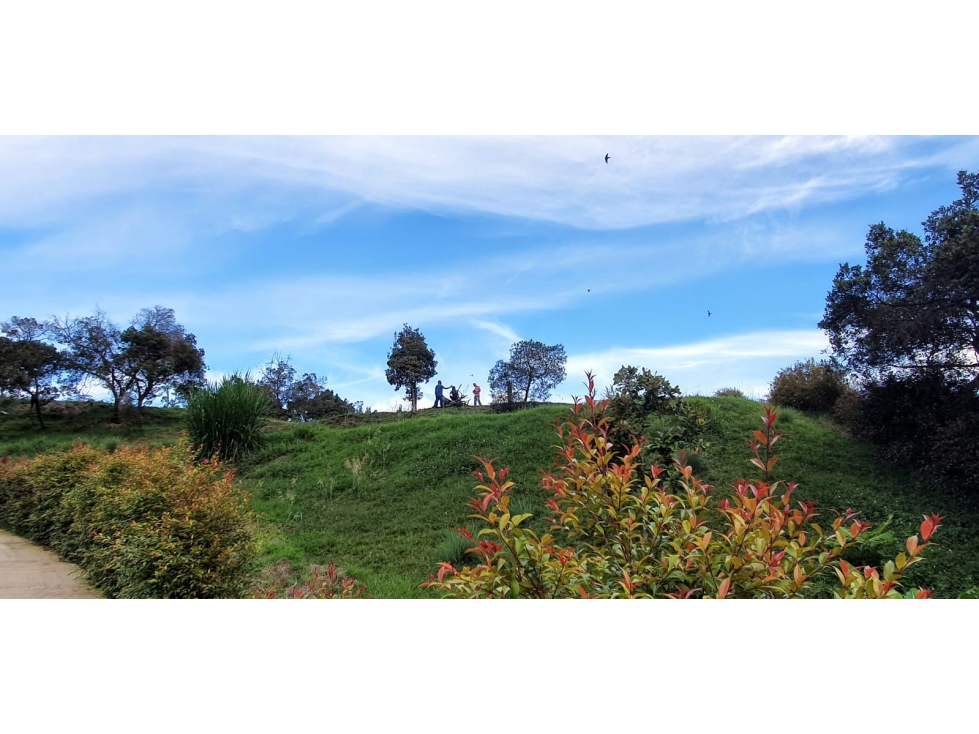 Lote en venta Guarne Antioquia Vereda el Sango — foto 3