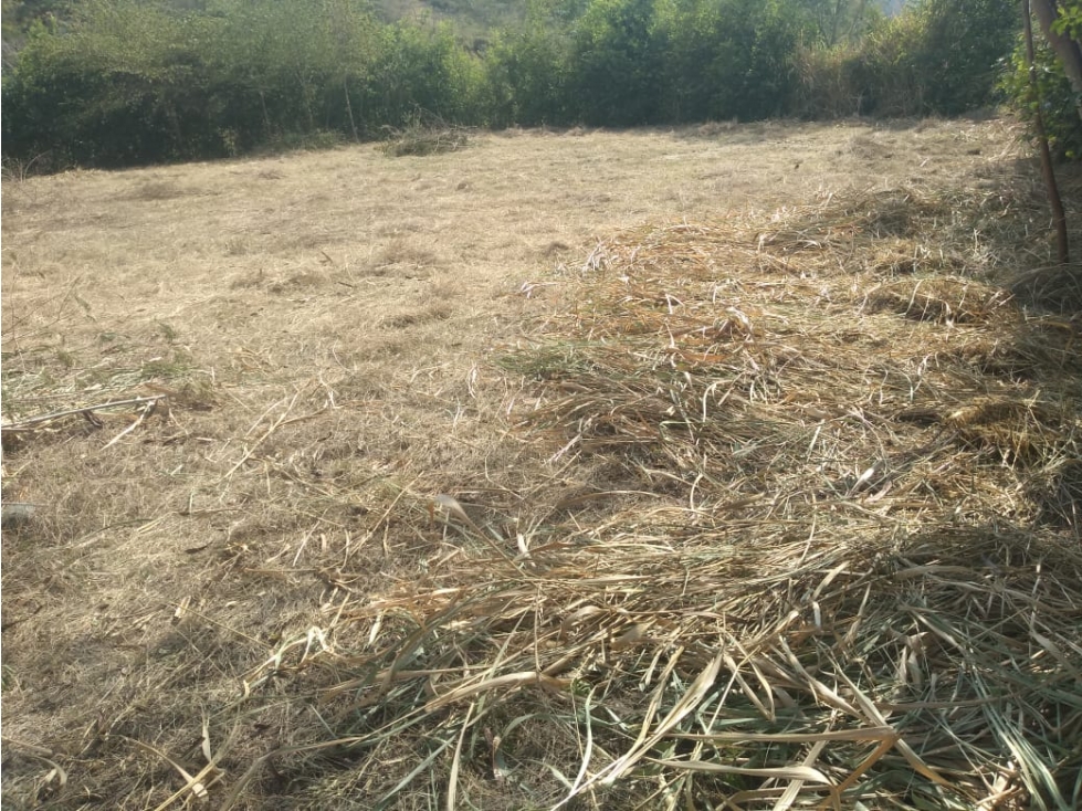 Lote en venta Municipio de Sopetran — foto 2