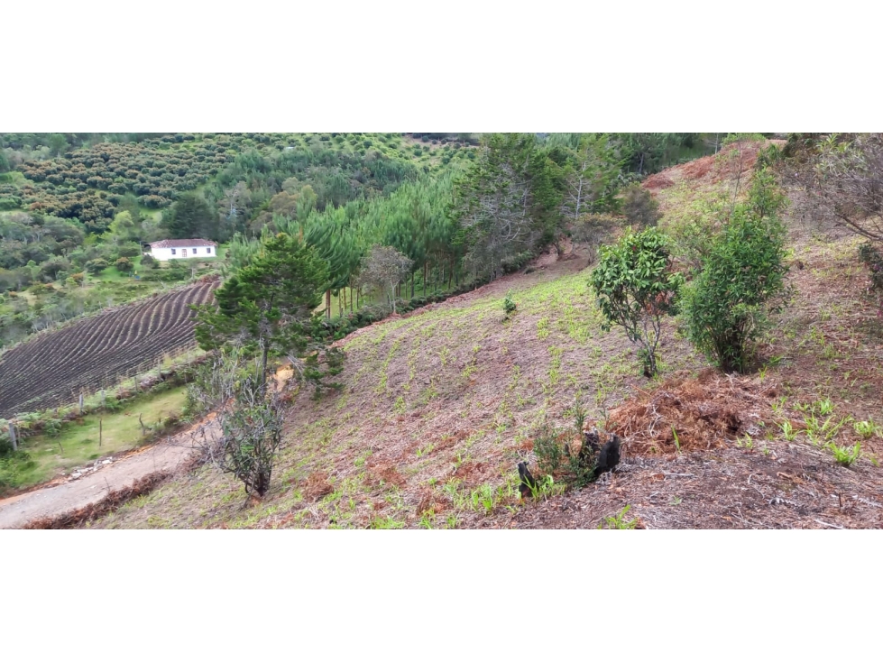 Lote en venta municipio San Vicente Ferrer Antioquia — foto 3