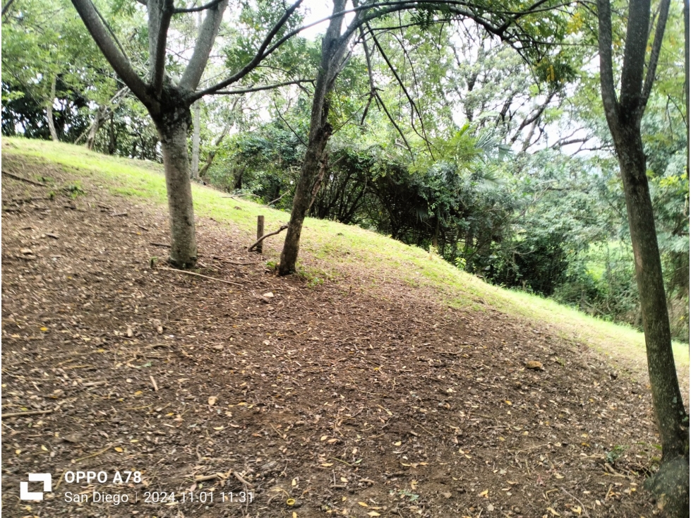 Lote industrial en venta Girardota Antioquia — foto 5