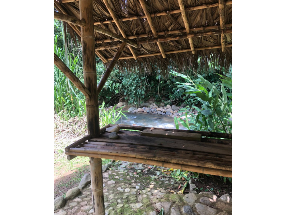 Finca en Venta Venecia Vereda La Arabia Antioquia — foto 2