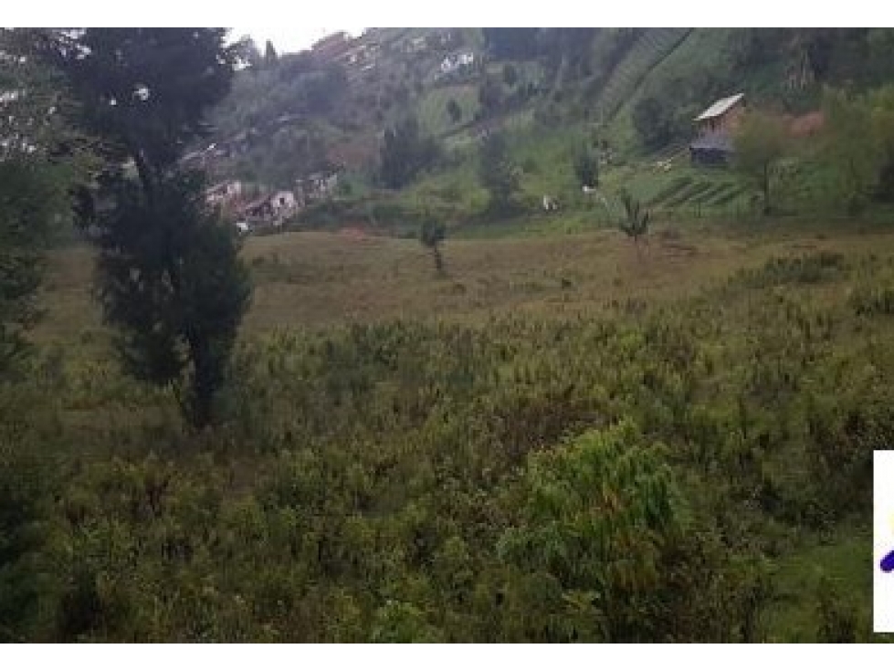 Venta lote uso industrial Guarne Antioquia vereda Bellavista — foto 5