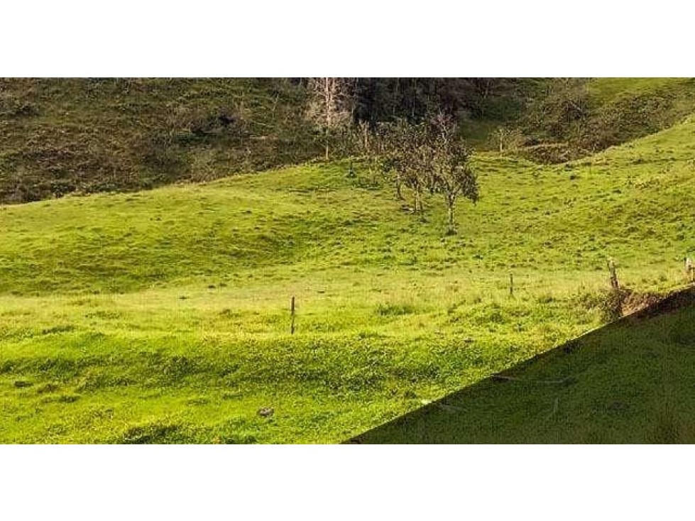 Venta Lotes en Parcelación Santo Domingo, Antioquia. - 1