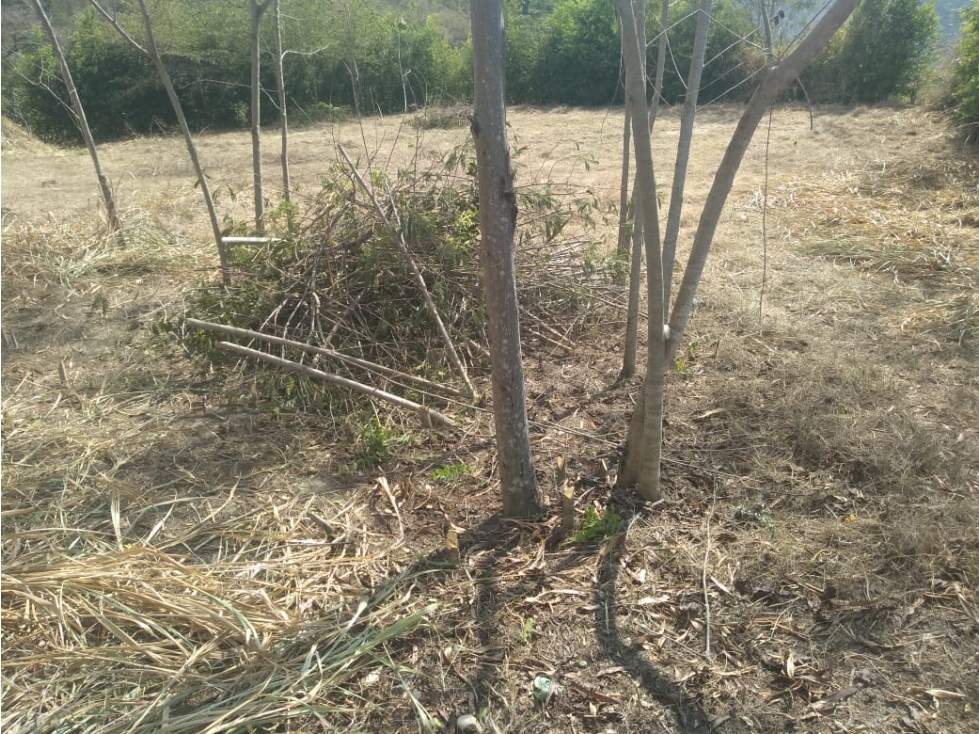 Lote en venta Municipio de Sopetran — foto 3