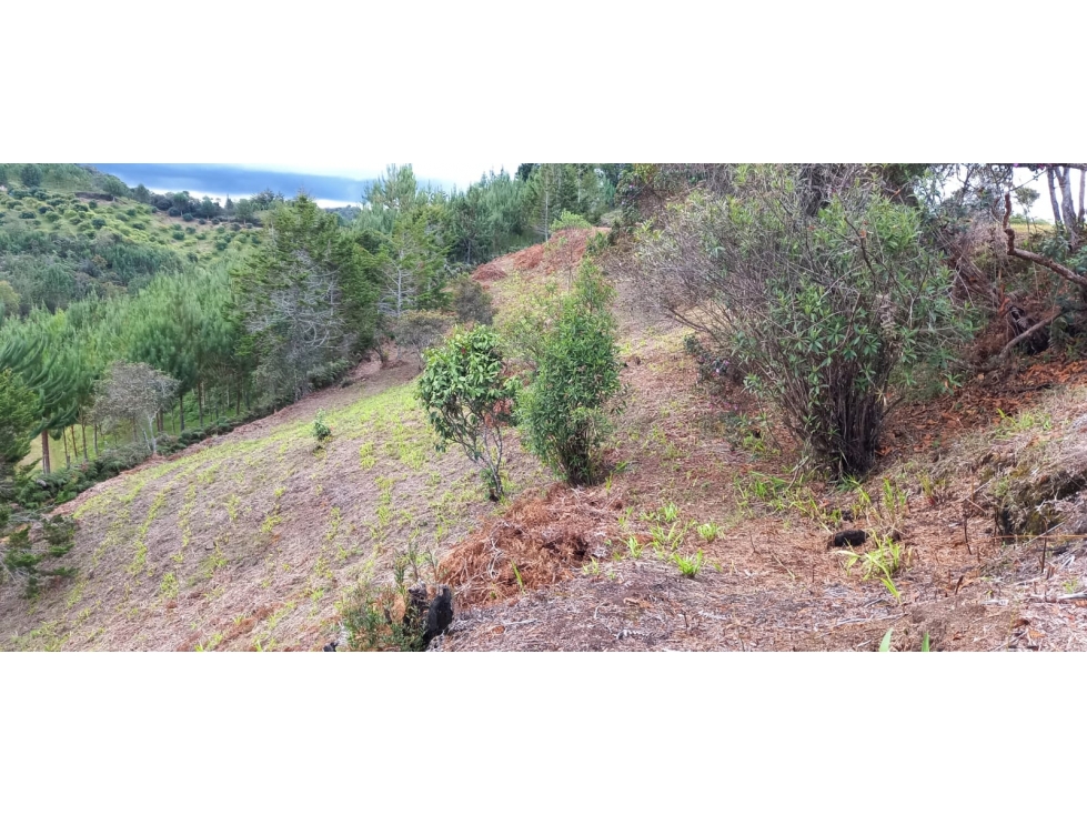 Lote en venta municipio San Vicente Ferrer Antioquia — foto 4