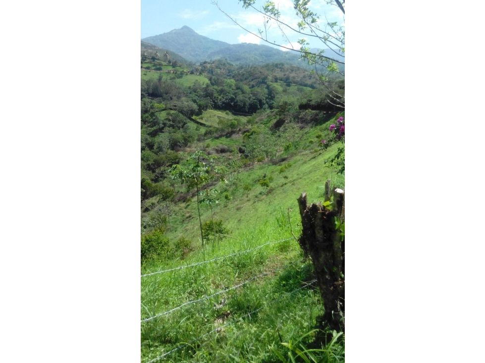 Finca en venta Santo Domingo Antioquia - 4