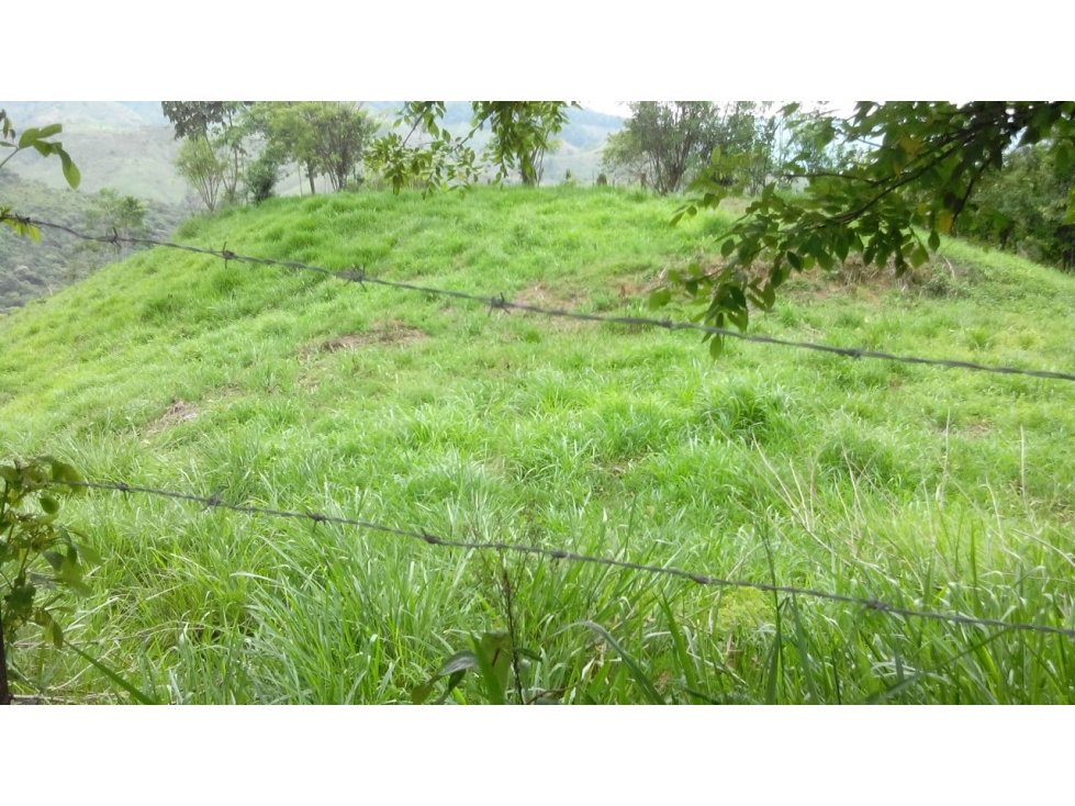 Finca en venta Santo Domingo Antioquia - 3