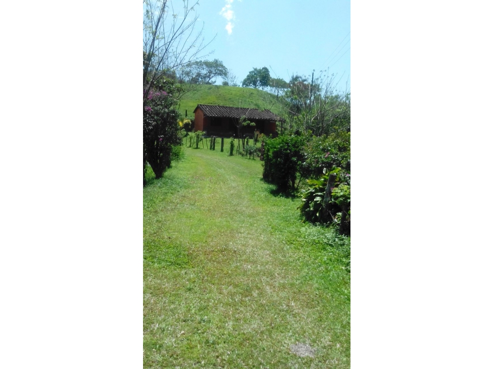 Finca en venta Santo Domingo Antioquia - 2