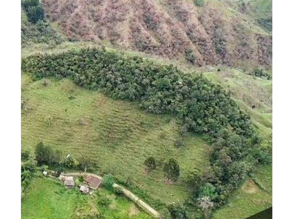 Venta Lotes en Parcelación Santo Domingo, Antioquia. - 2