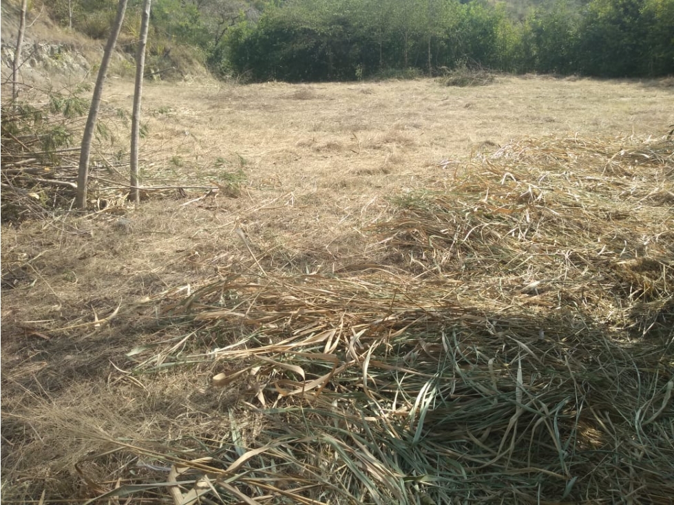Lote en venta Municipio de Sopetran