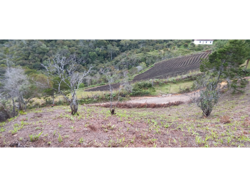 Lote en venta municipio San Vicente Ferrer Antioquia — foto 2