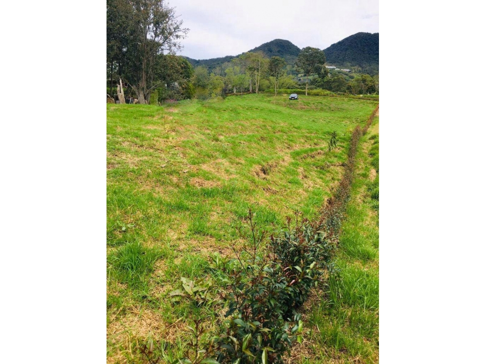 Lote en venta Carmen de Viboral Antioquia — foto 4