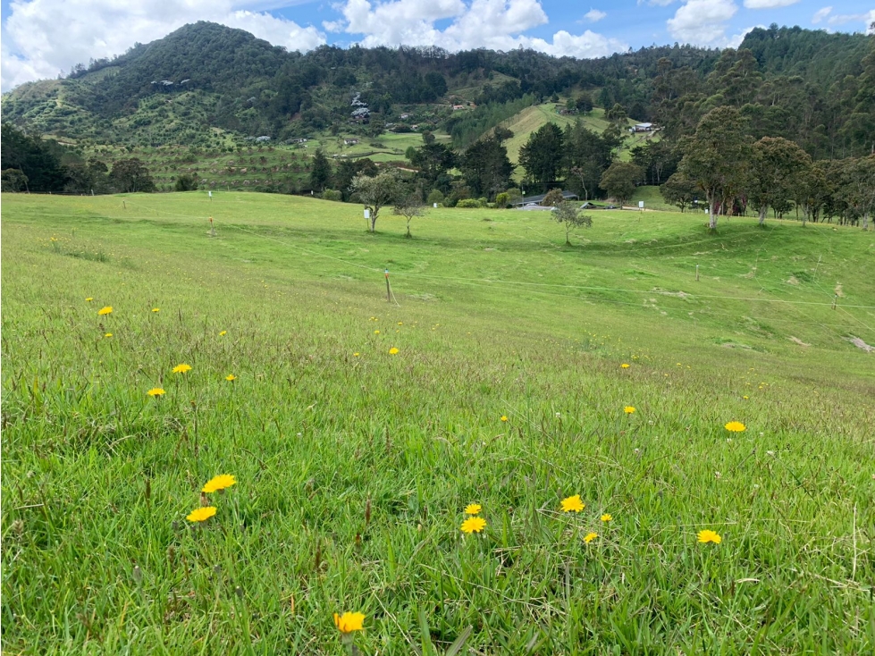 Lote en venta El Retiro Vereda Pantanillo Antioquia