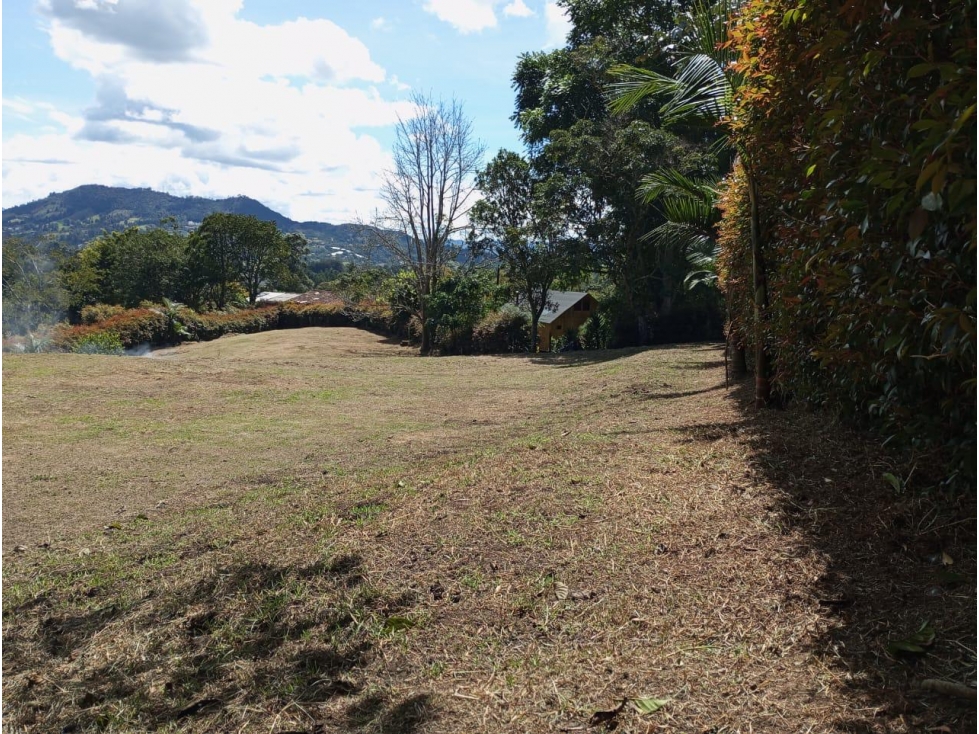 Lote en venta La Ceja Via San Antonio de Pereira — foto 4