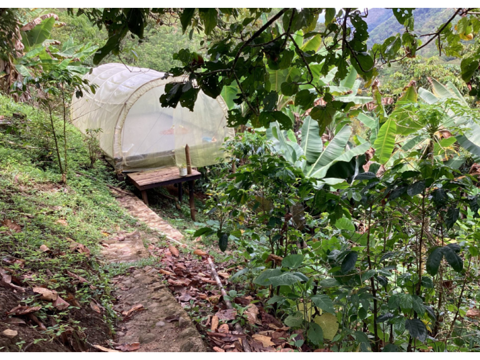 Finca en Venta Venecia Vereda La Arabia Antioquia — foto 5