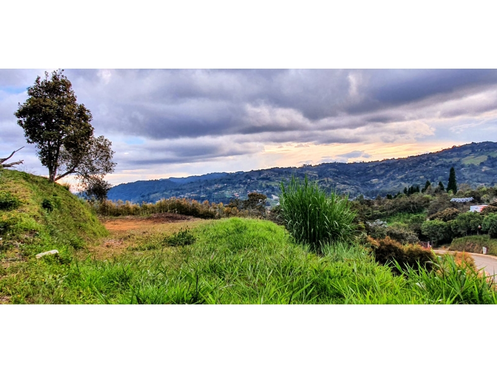 Lote en venta Guarne Antioquia Vereda el Sango — foto 5