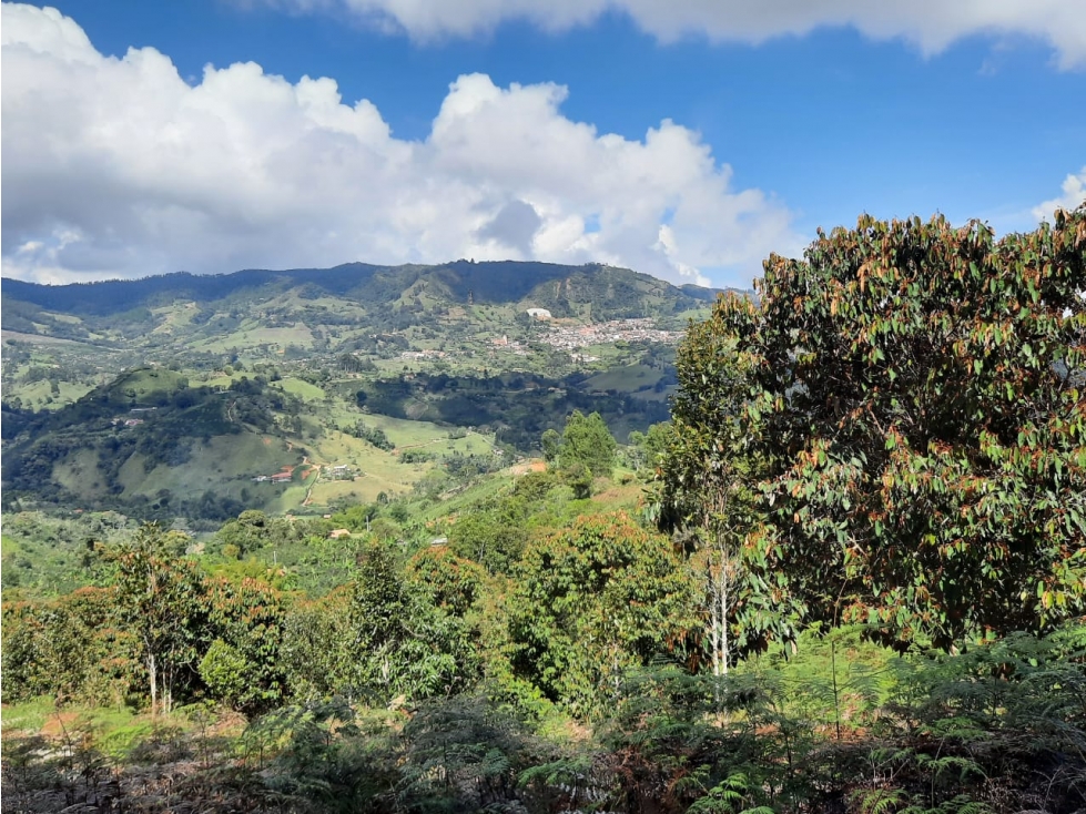 Venta lote Jericó vereda la Estrella nueva - 4