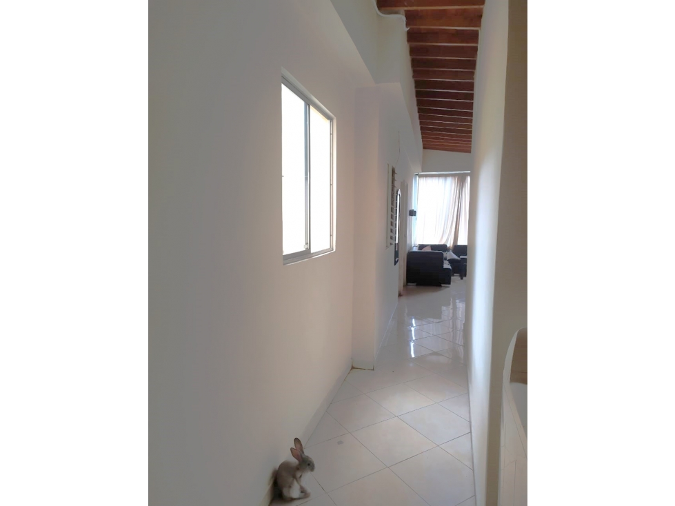 Venta Apartamento barrio Sevilla Medellín Antioquia — foto 3