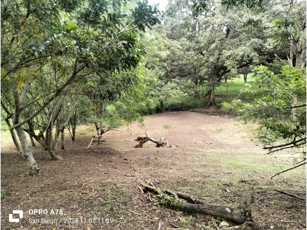 Lote industrial en venta Girardota Antioquia — foto 4