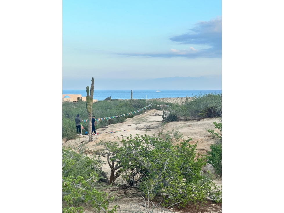 TERRENO EN VENTA EN CABO DEL ESTE - 6