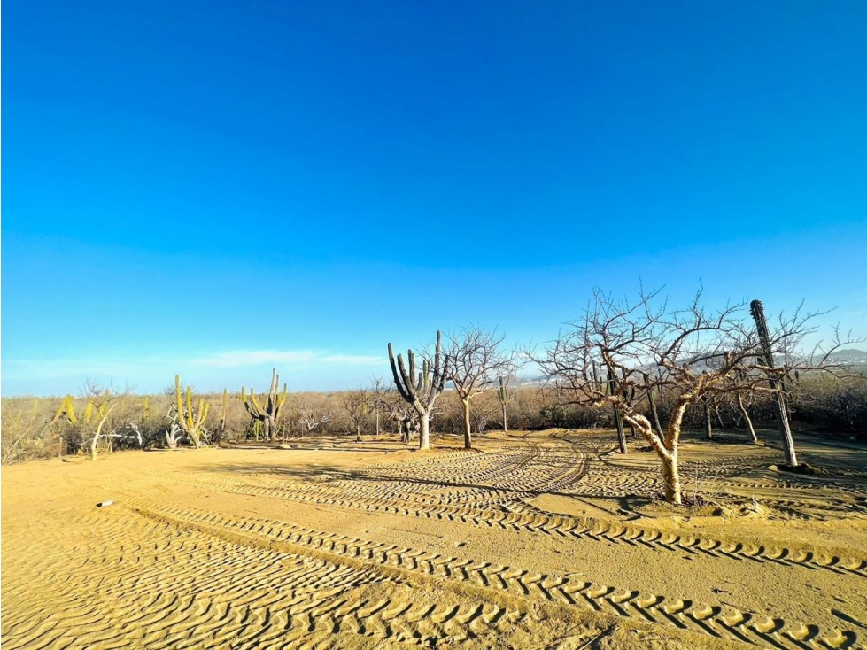 TERRENO EN VENTA EN EL TEZAL - 3