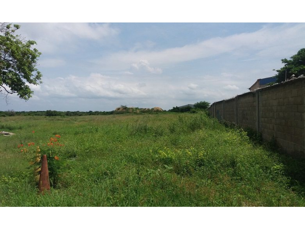 Lote Industrial en Arriendo en Soledad, Atlántico - 2