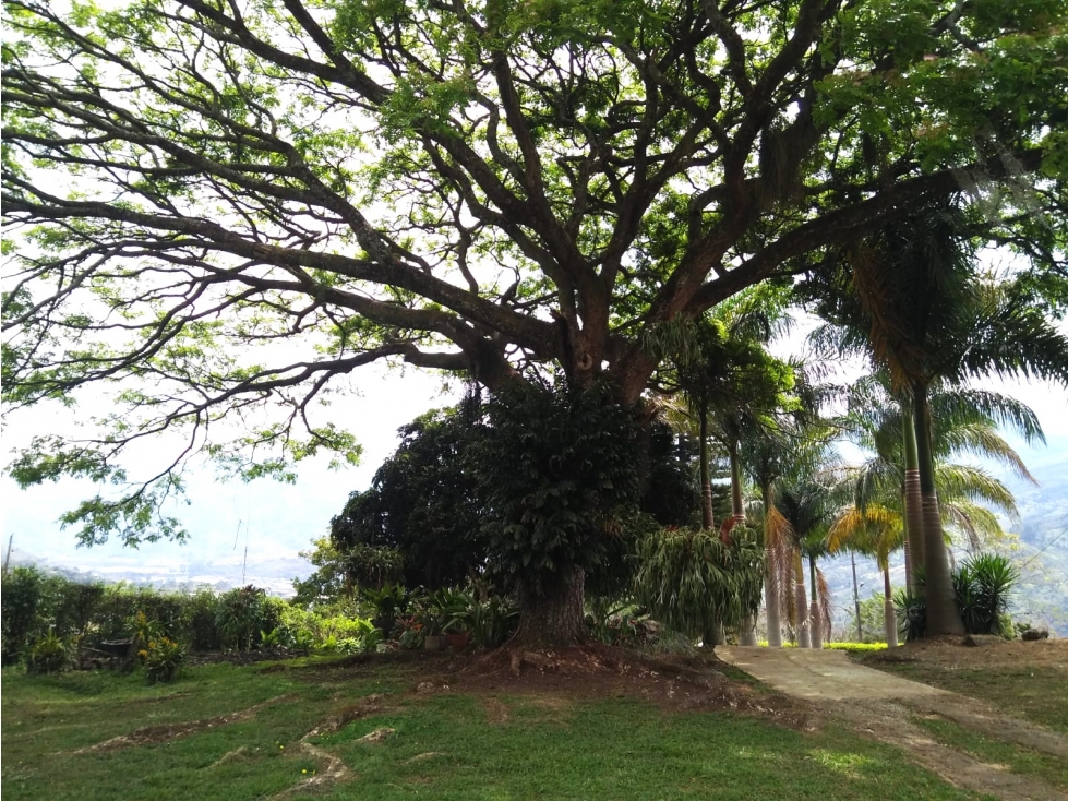 Finca en Venta en Copacabana, Antioquia — foto 6