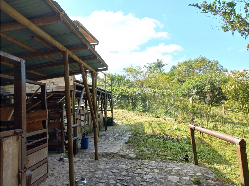 Lote en Venta en Envigado sector Terracina — foto 3