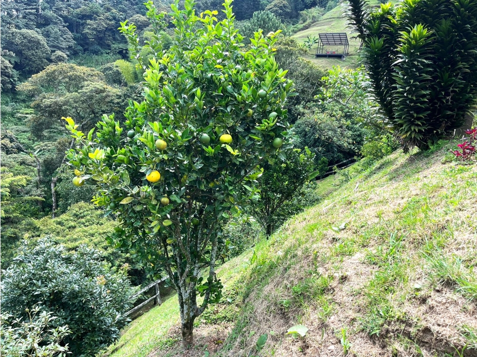 Casa Finca en Venta en La Estrella, Antioquia - 4