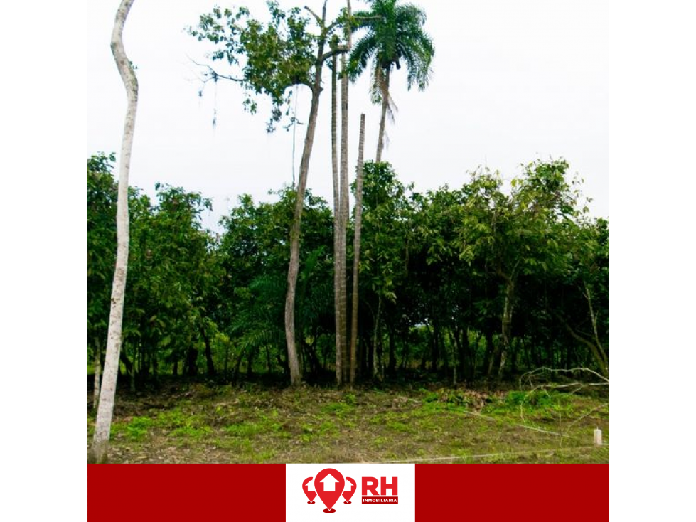 TERRENO EN VENTA EN URB. AIRES DEL BOSQUE, CANTÓN PONCE ENRIQUEZ - 3