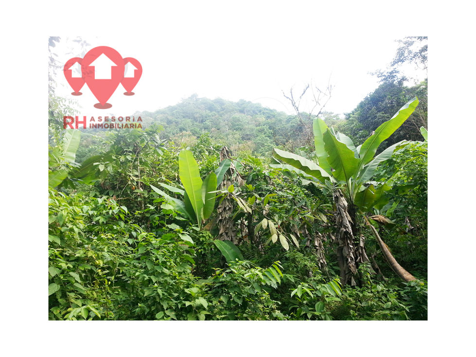 Finca en venta 39.08 Has en El Progreso de Pasaje - 1