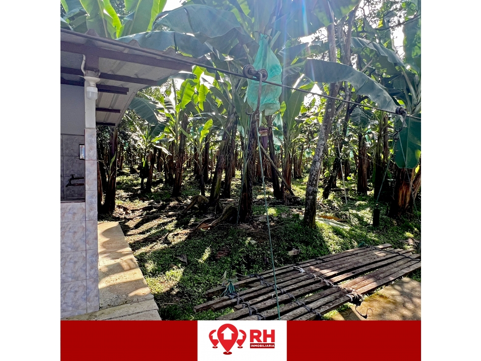 BANANERA EN VENTA EN PARROQUIA BUENAVISTA, CANTÓN PASAJE - 4