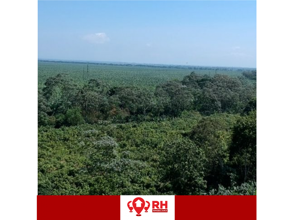 TERRENO EN VENTA EN EL GUABO #JRMC - 4