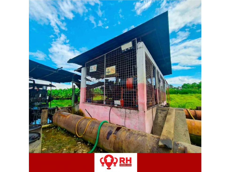 BANANERA EN VENTA EN BABAHOYO, LOS RIOS - 5