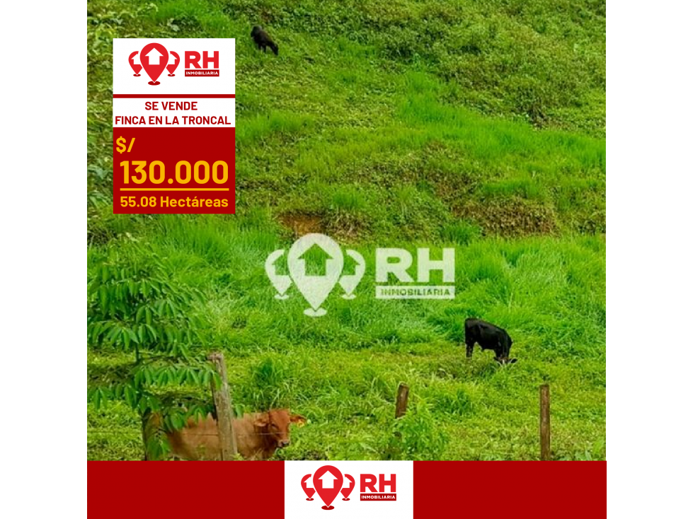 FINCA EN VENTA EN LA TRONCAL DE CAÑAR DE 55.08 HECTÁREAS #896 - 1