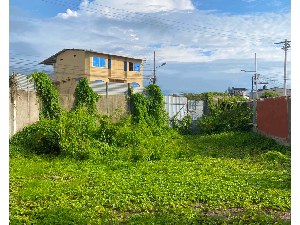 TERRENO CON RELLENO DE CALIDAD, MACHALA Av. LAS AMERICAS - 3