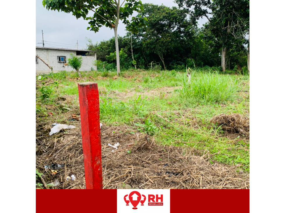 TERRENO EN VENTA UBICADO EN RIO BONITO, CANTÓN EL GUABO - 4