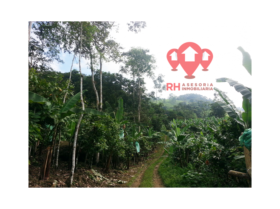 Finca en venta 39.08 Has en El Progreso de Pasaje - 5