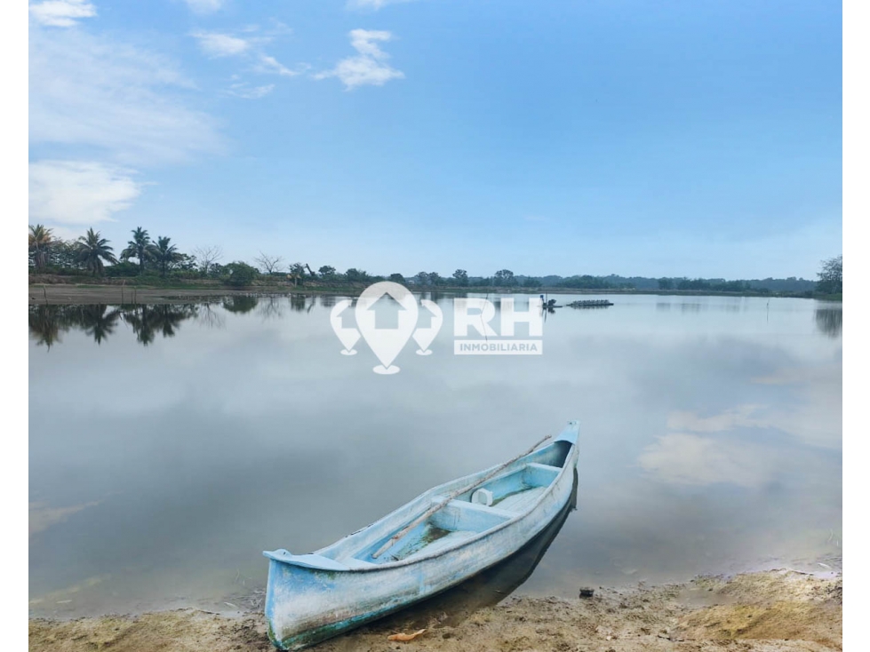 CAMARONERA DE 10 HECTÁREAS EN VENTA EN NARANJAL, GUAYAS #840 - 2