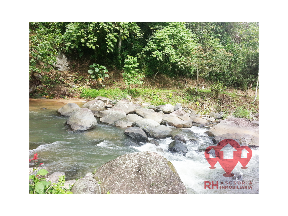 Finca en venta 39.08 Has en El Progreso de Pasaje - 6