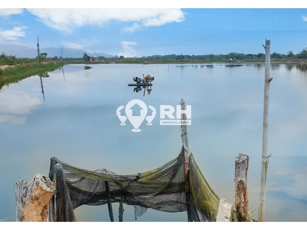 CAMARONERA DE 10 HECTÁREAS EN VENTA EN NARANJAL, GUAYAS #840 - 1